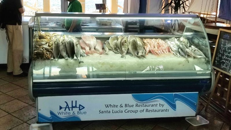 エジプト・アレクサンドリアのシーフードレストラン、"White and Blue" の魚介類