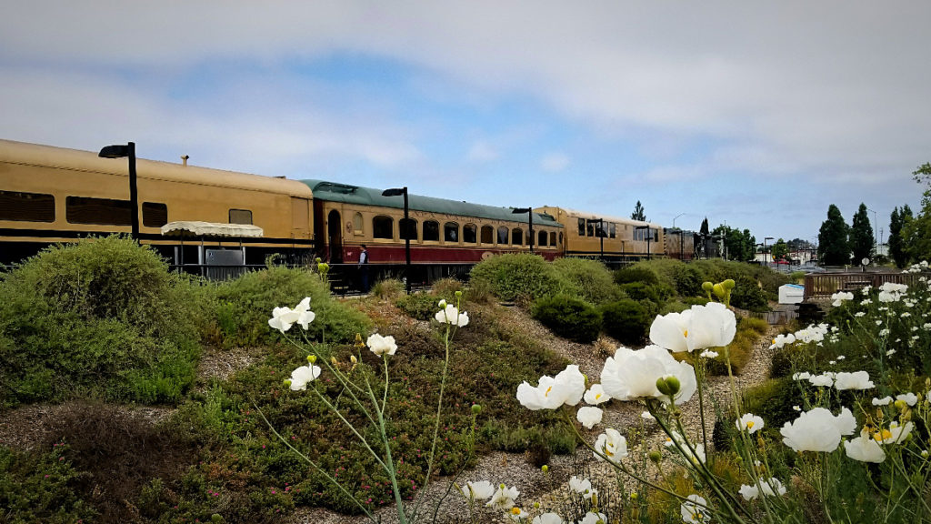 カリフォルニア州・ナパバレー。列車でお食事ができる、ワイントレイン。(Napa Valley Wine Train)
