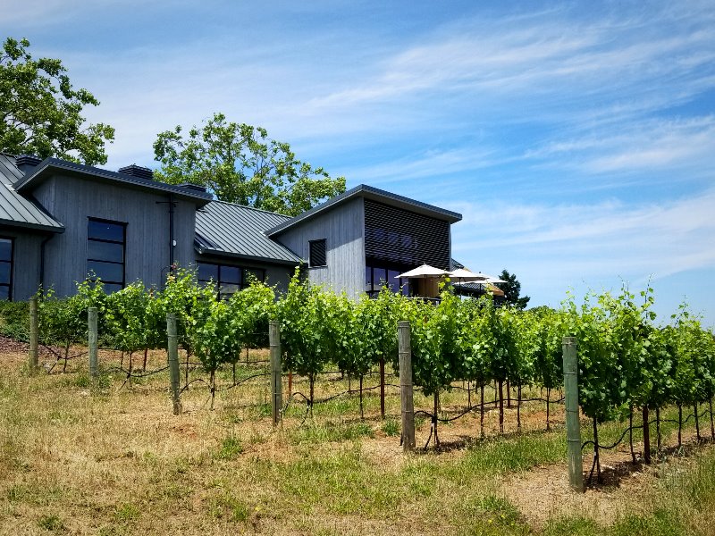 カリフォルニア・ソノマのワイナリーとワイン旅行。Macrostie winery