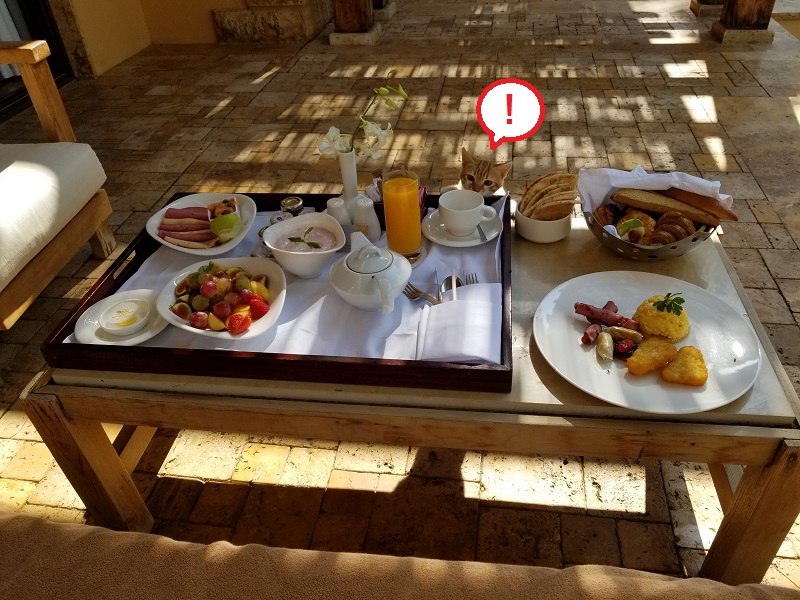 ヨルダンの死海リゾート。ホテル朝食。