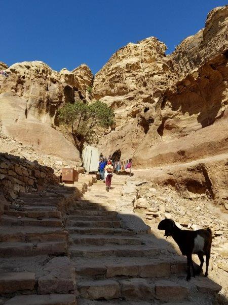 ヨルダン旅行・ペトラのハイキング