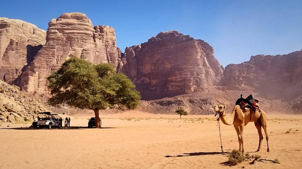 ヨルダン旅行・ワディ・ラムの砂漠ツアー